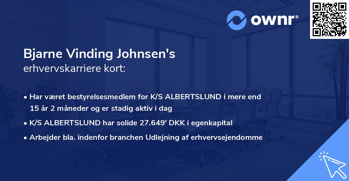 Bjarne Vinding Johnsen's erhvervskarriere kort