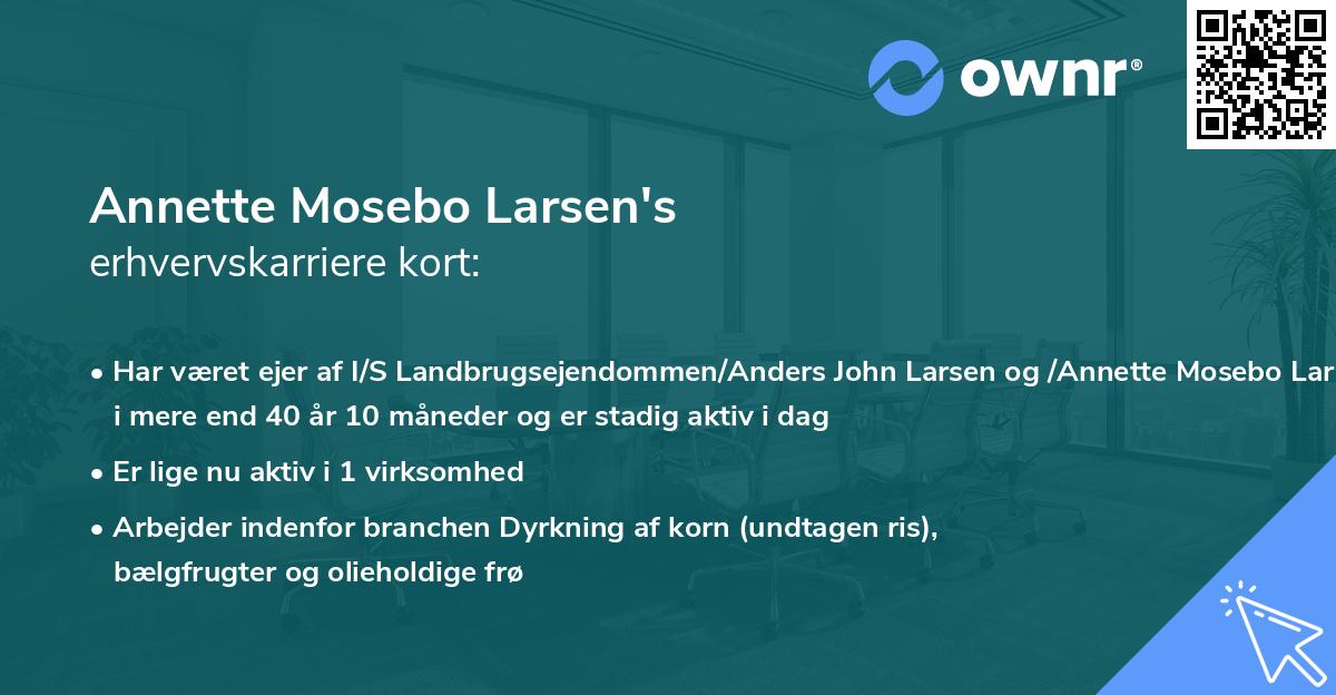 Annette Mosebo Larsen's erhvervskarriere kort
