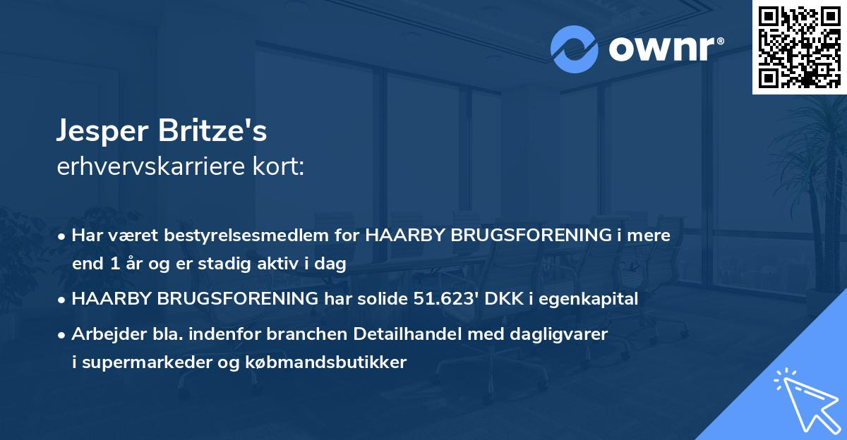 Jesper Britze's erhvervskarriere kort