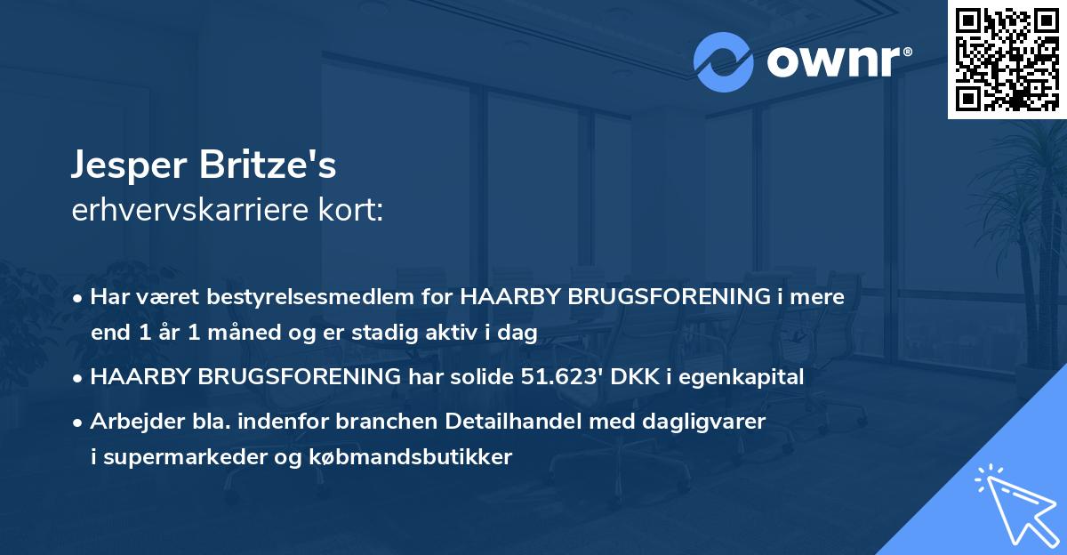 Jesper Britze's erhvervskarriere kort