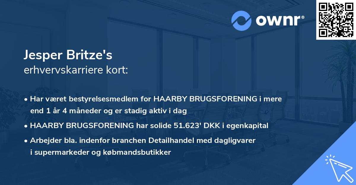 Jesper Britze's erhvervskarriere kort