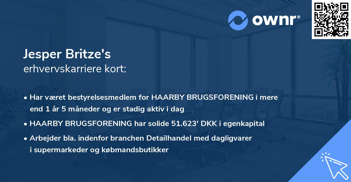 Jesper Britze's erhvervskarriere kort