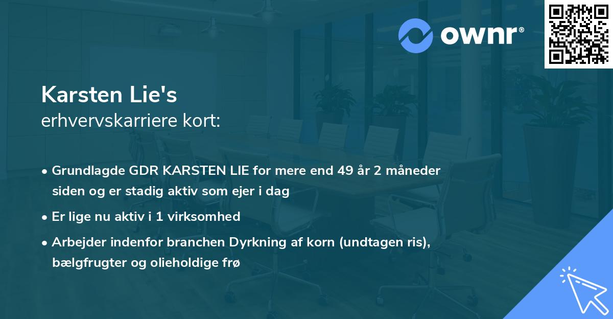 Karsten Lie's erhvervskarriere kort