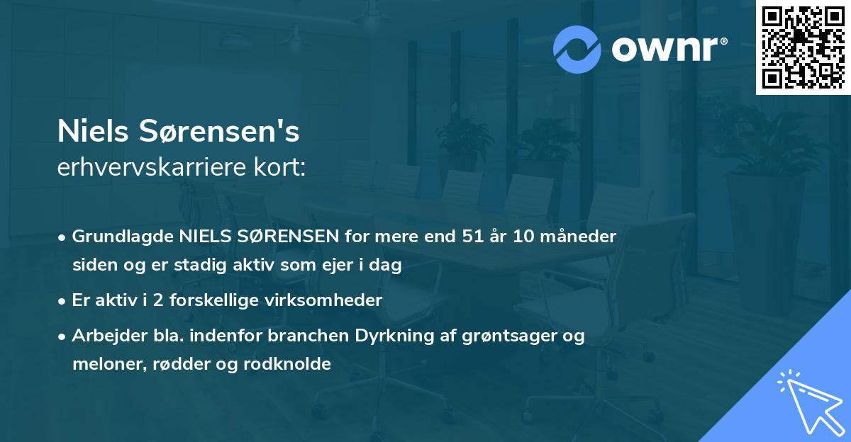 Niels Sørensen's erhvervskarriere kort