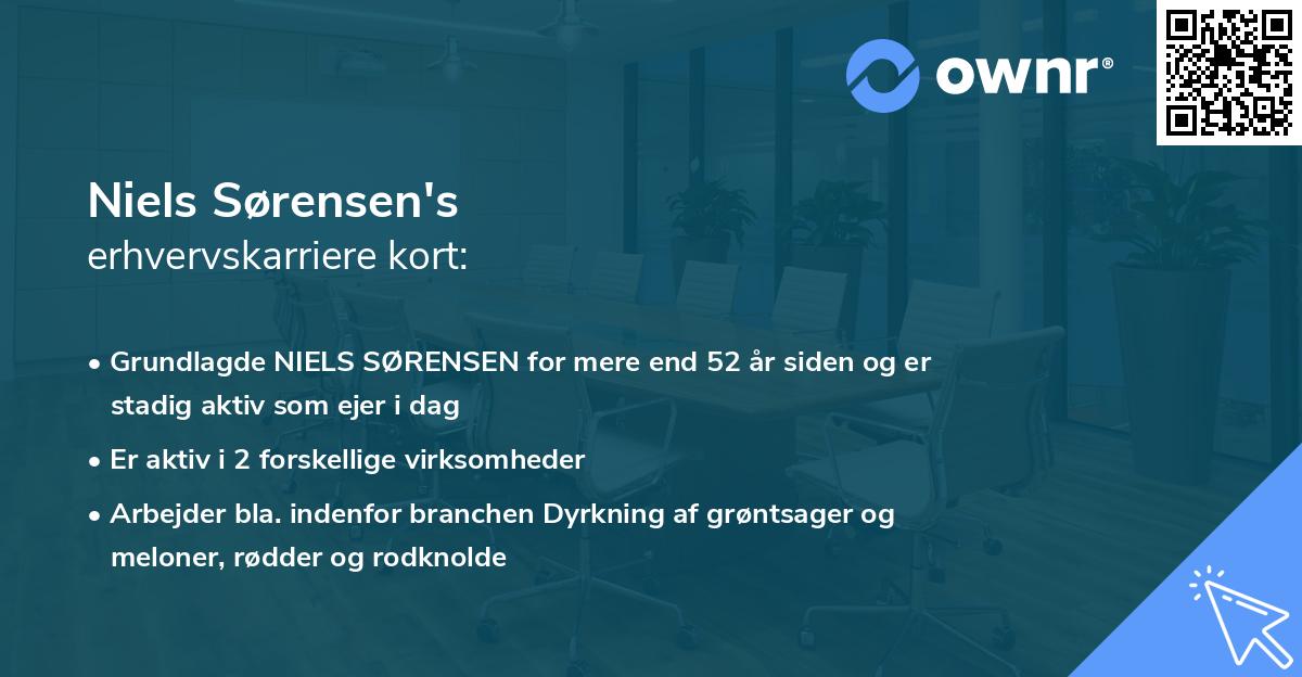 Niels Sørensen's erhvervskarriere kort