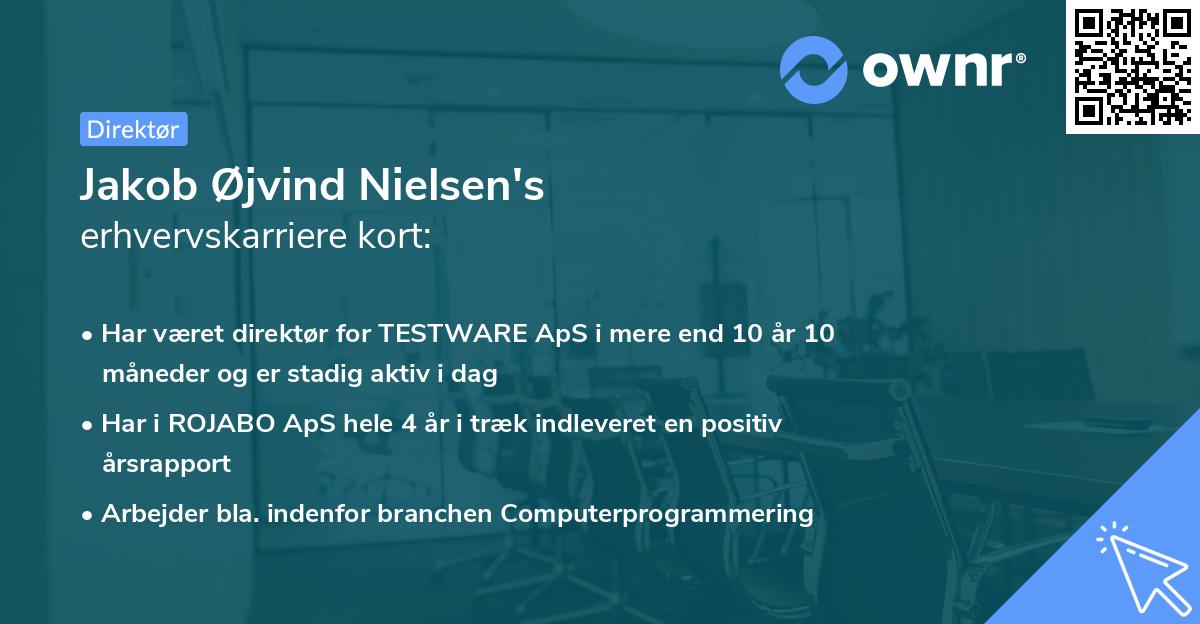 Jakob Øjvind Nielsen's erhvervskarriere kort