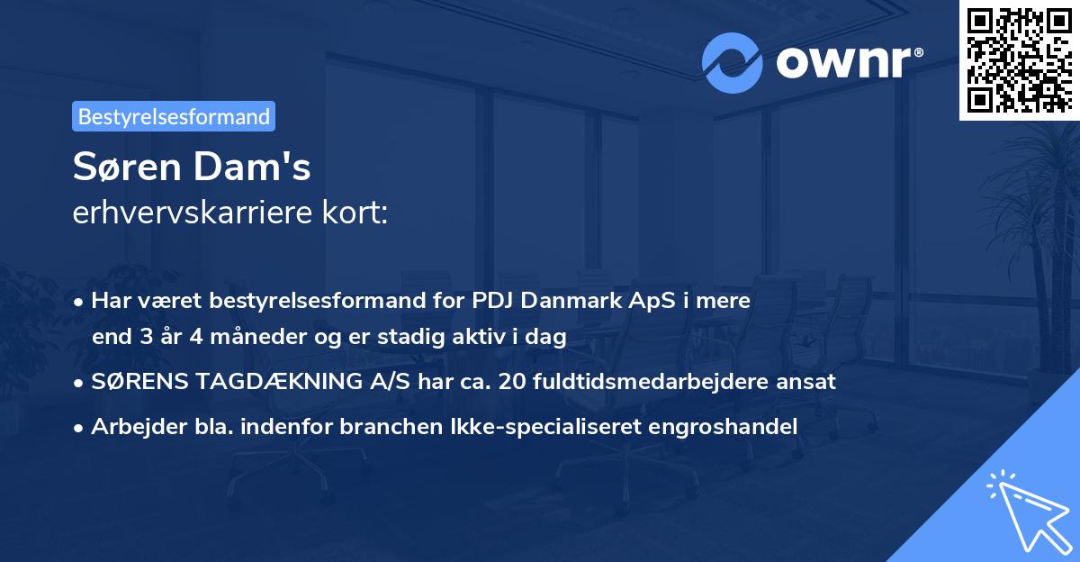 Søren Dam's erhvervskarriere kort