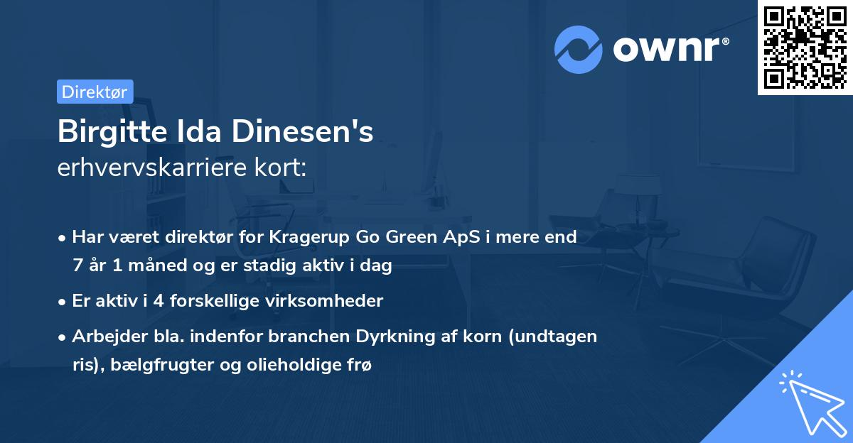 Birgitte Ida Dinesen's erhvervskarriere kort