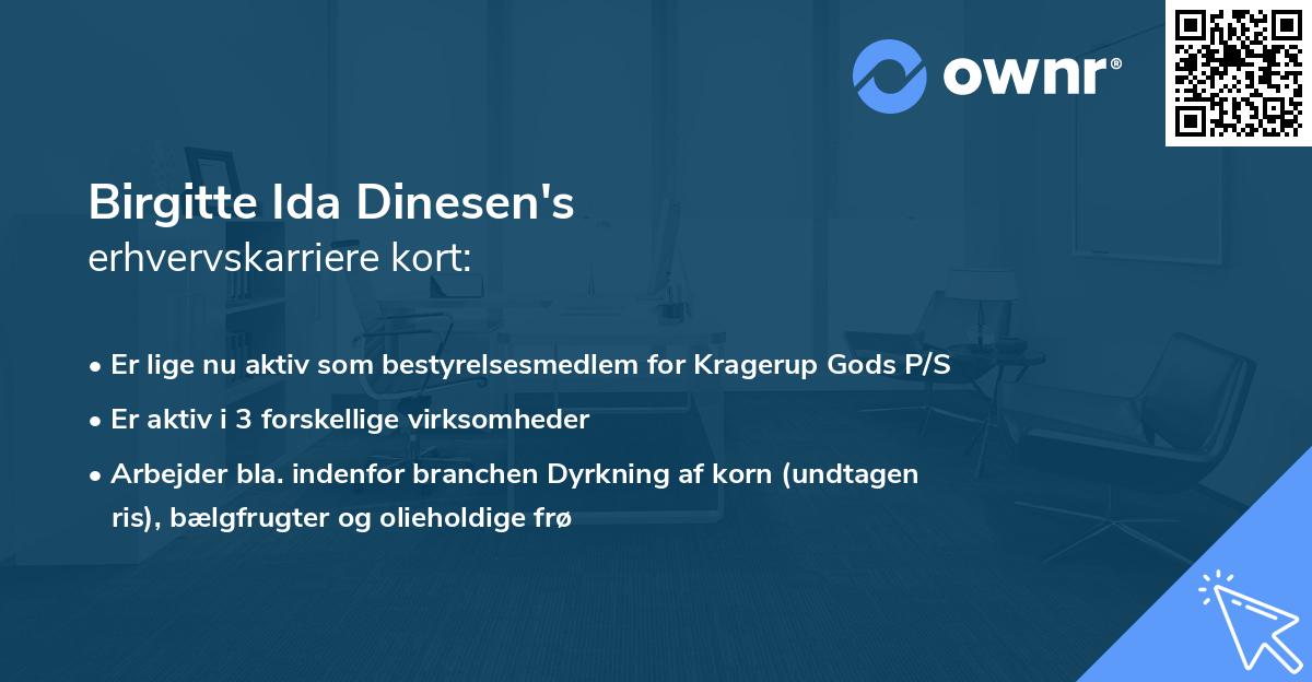 Birgitte Ida Dinesen's erhvervskarriere kort