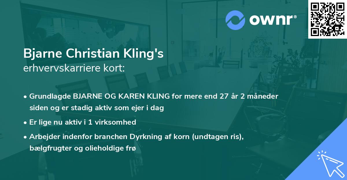 Bjarne Christian Kling's erhvervskarriere kort