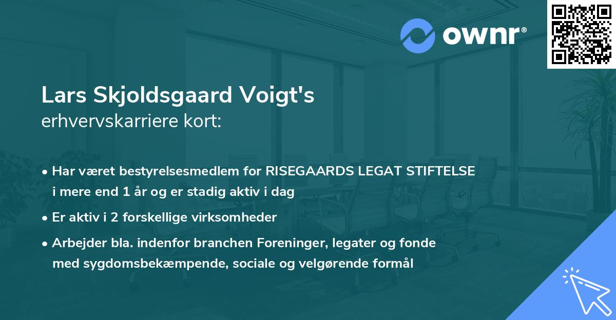 Lars Skjoldsgaard Voigt's erhvervskarriere kort