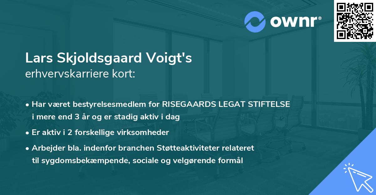 Lars Skjoldsgaard Voigt's erhvervskarriere kort