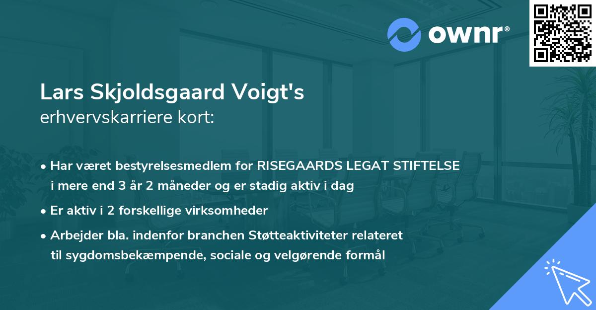 Lars Skjoldsgaard Voigt's erhvervskarriere kort