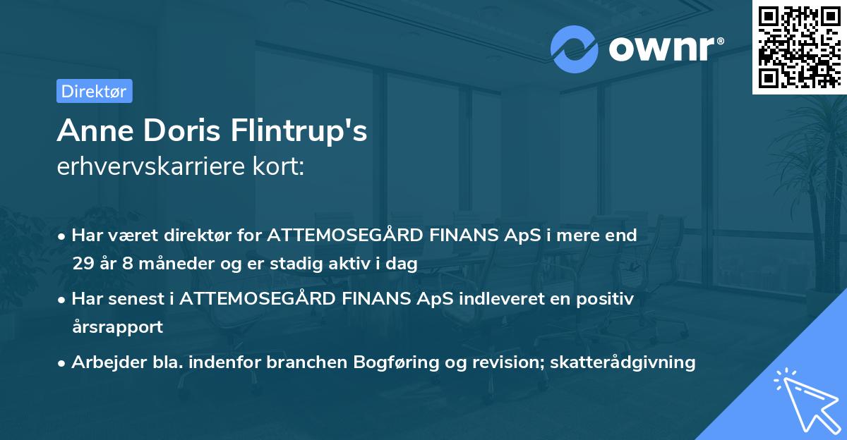 Anne Doris Flintrup's erhvervskarriere kort