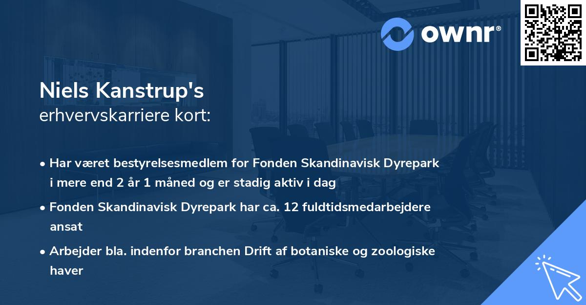 Niels Kanstrup's erhvervskarriere kort