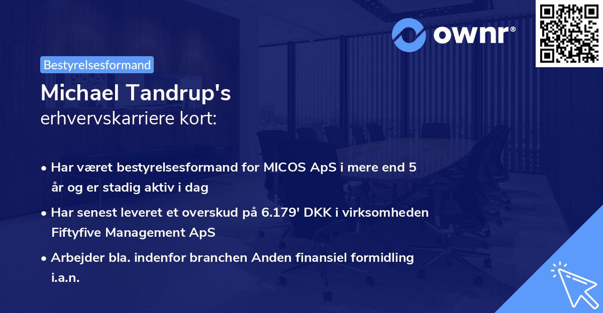 Michael Tandrup's erhvervskarriere kort