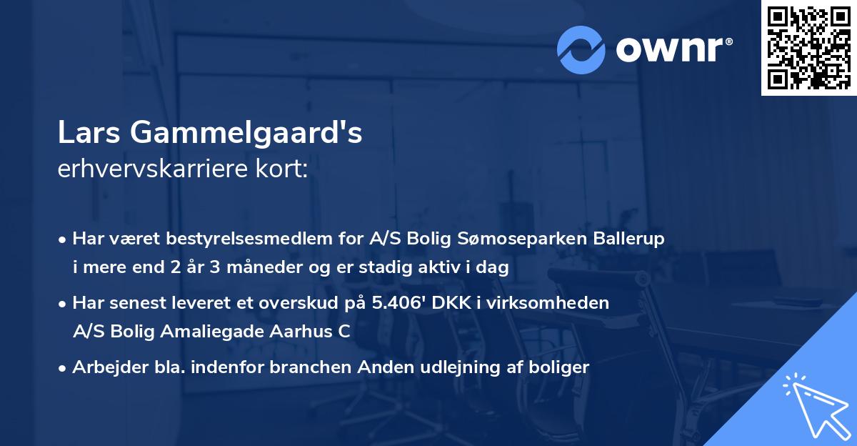 Lars Gammelgaard's erhvervskarriere kort