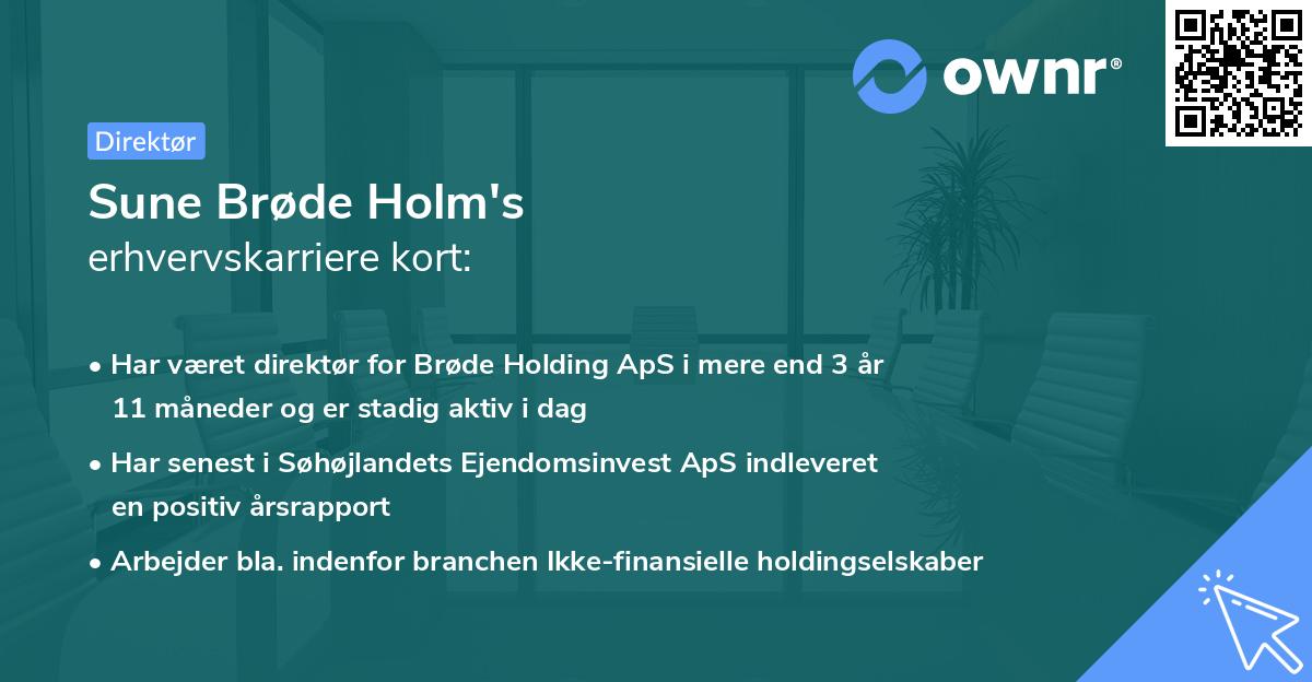 Sune Brøde Holm's erhvervskarriere kort