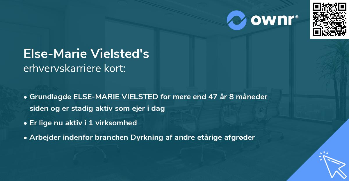 Else-Marie Vielsted's erhvervskarriere kort