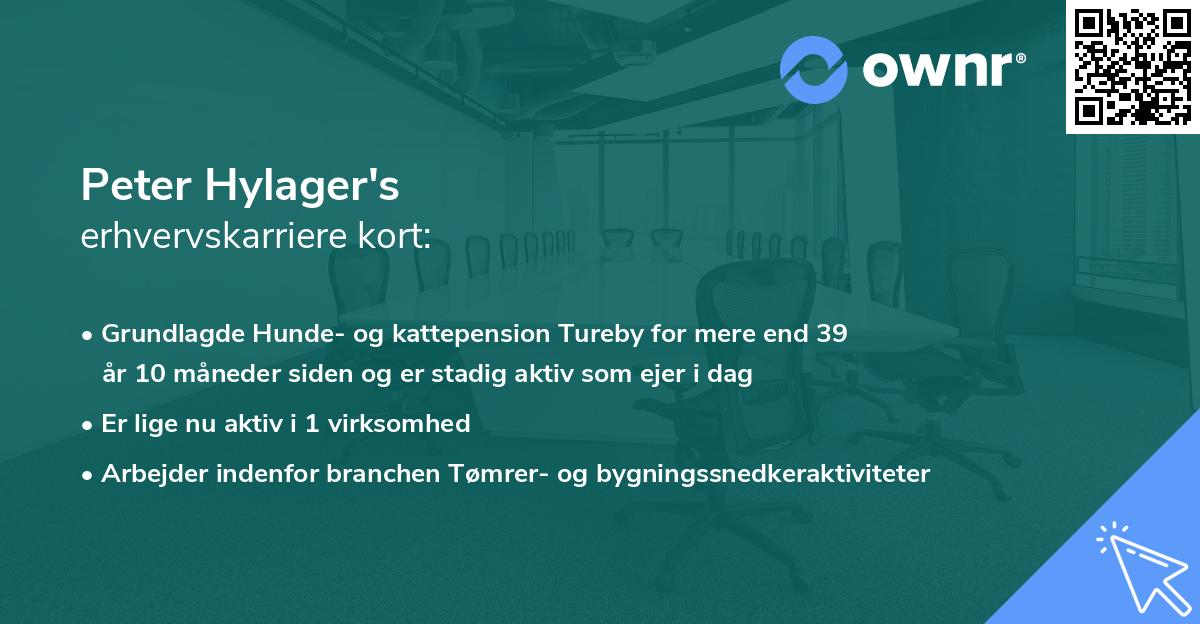 Peter Hylager's erhvervskarriere kort