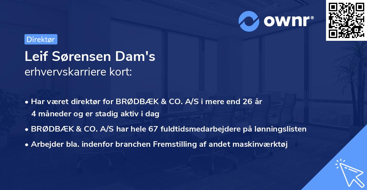 Leif Sørensen Dam's erhvervskarriere kort