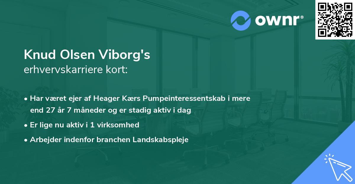 Knud Olsen Viborg's erhvervskarriere kort