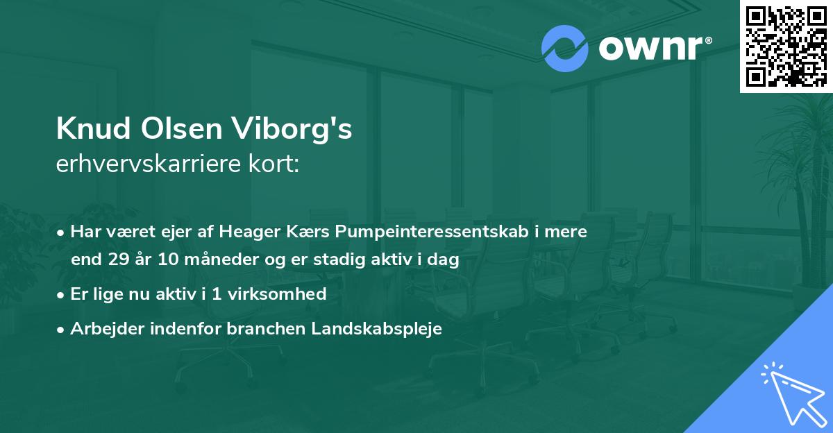 Knud Olsen Viborg's erhvervskarriere kort