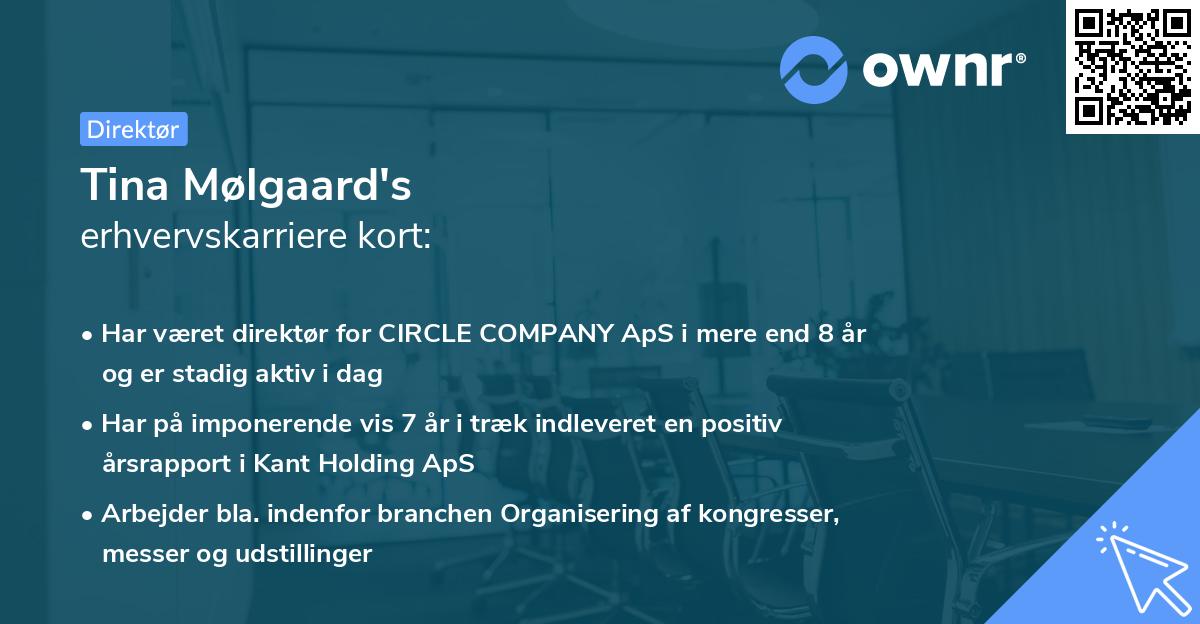 Tina Mølgaard's erhvervskarriere kort