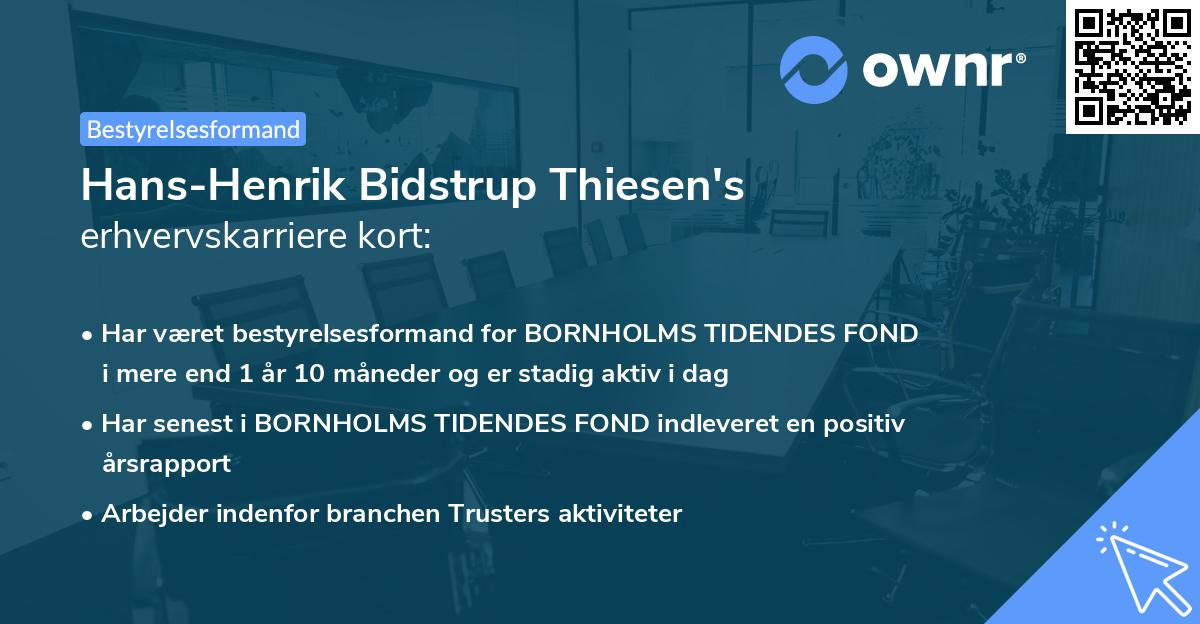 Hans-Henrik Bidstrup Thiesen's erhvervskarriere kort