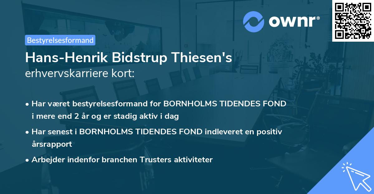 Hans-Henrik Bidstrup Thiesen's erhvervskarriere kort