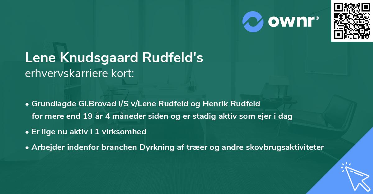 Lene Knudsgaard Rudfeld's erhvervskarriere kort