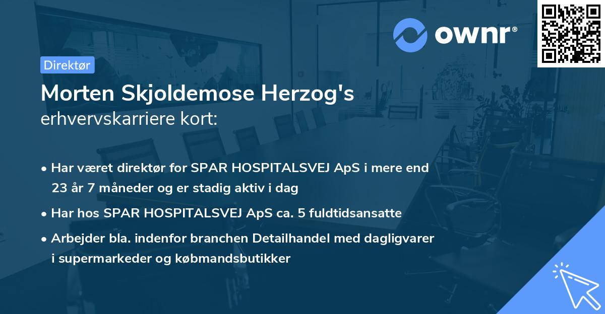 Morten Skjoldemose Herzog's erhvervskarriere kort