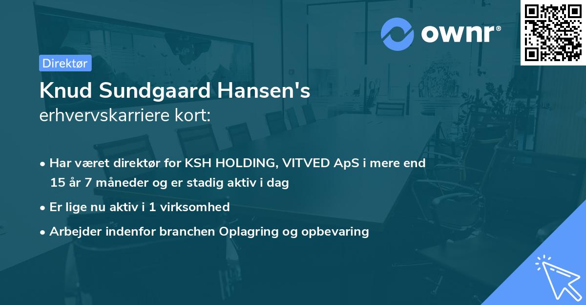 Knud Sundgaard Hansen's erhvervskarriere kort