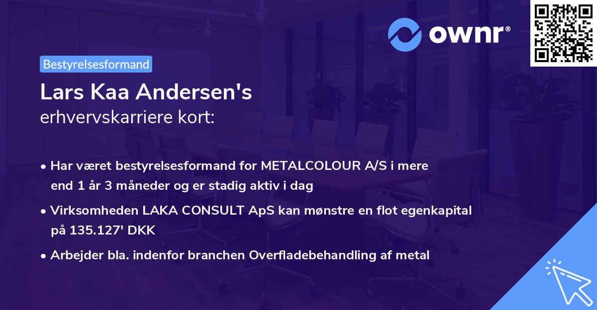 Lars Kaa Andersen's erhvervskarriere kort