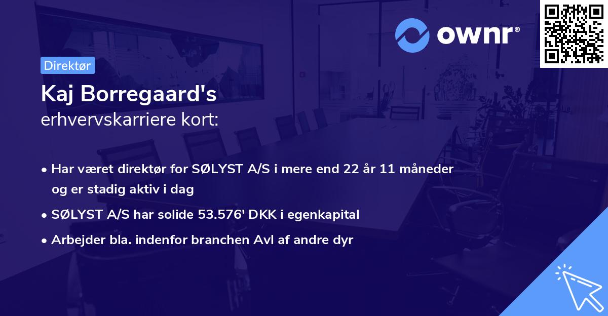 Kaj Borregaard's erhvervskarriere kort
