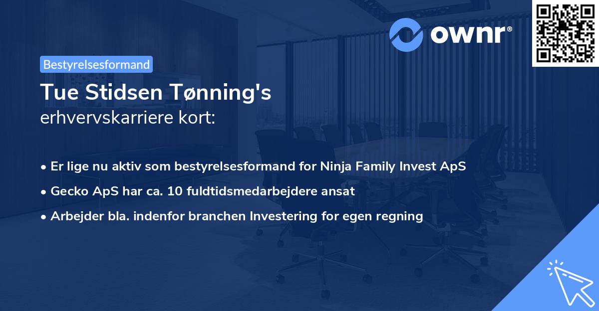 Tue Stidsen Tønning's erhvervskarriere kort