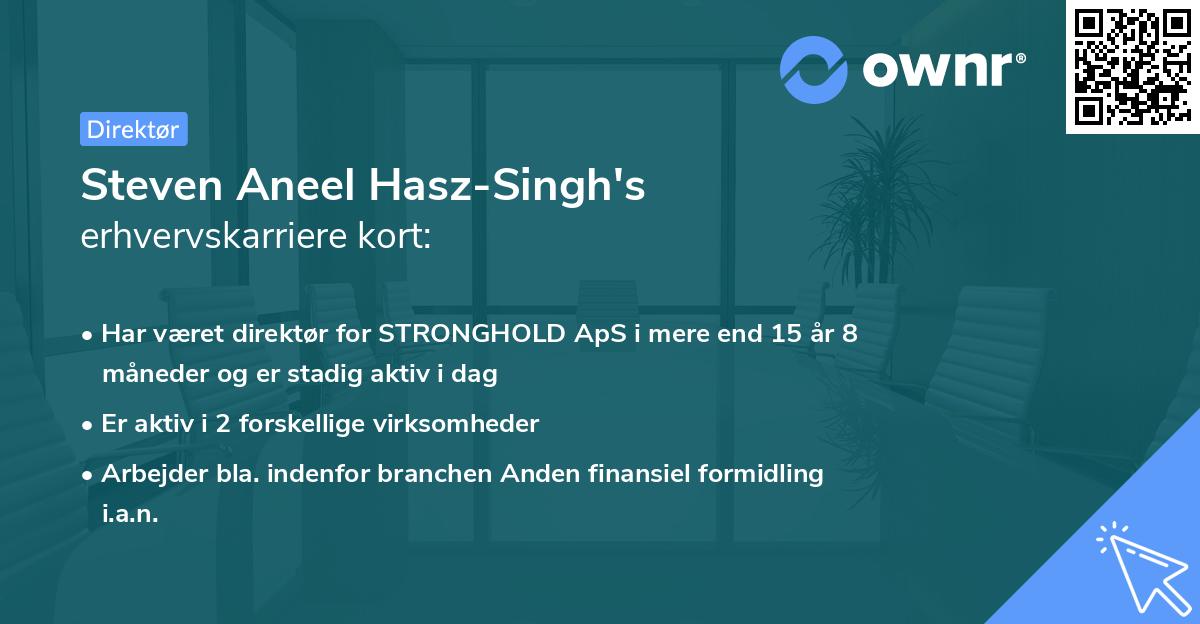 Steven Aneel Hasz-Singh's erhvervskarriere kort