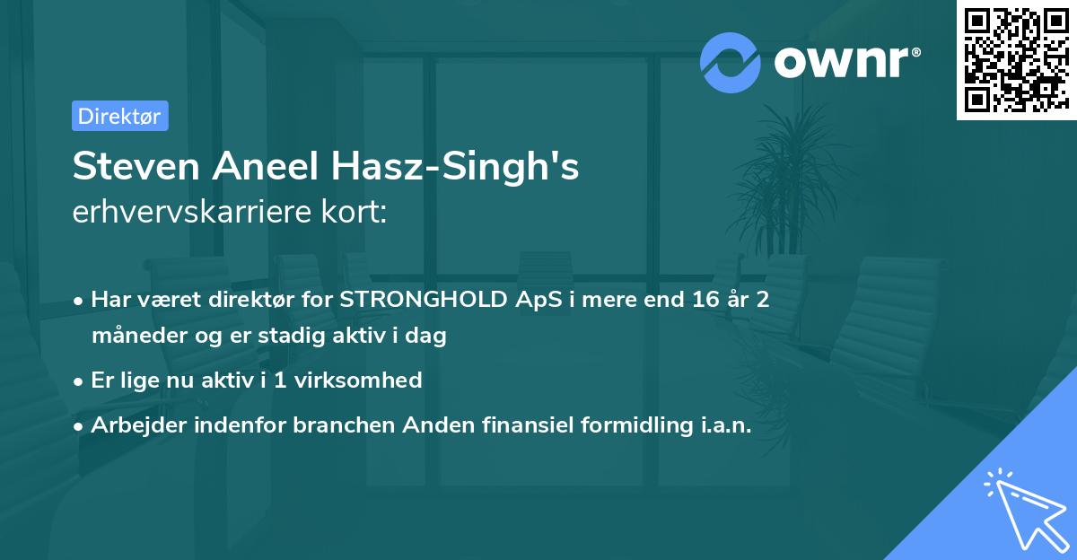 Steven Aneel Hasz-Singh's erhvervskarriere kort