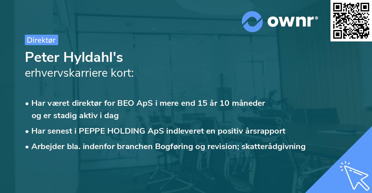 Peter Hyldahl's erhvervskarriere kort