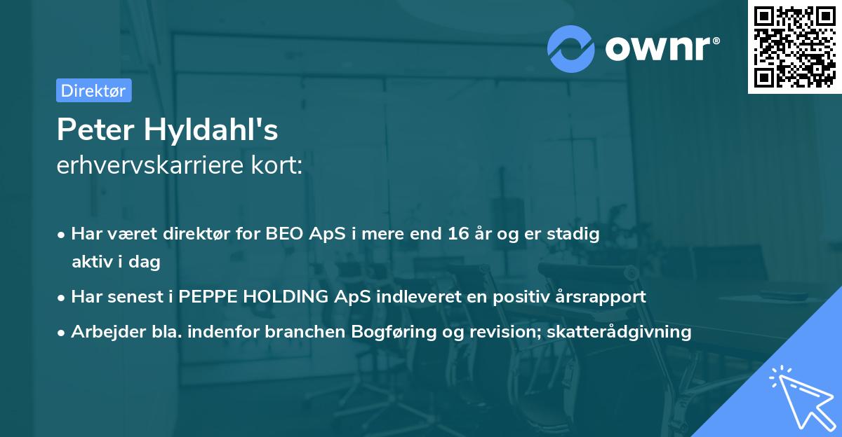 Peter Hyldahl's erhvervskarriere kort