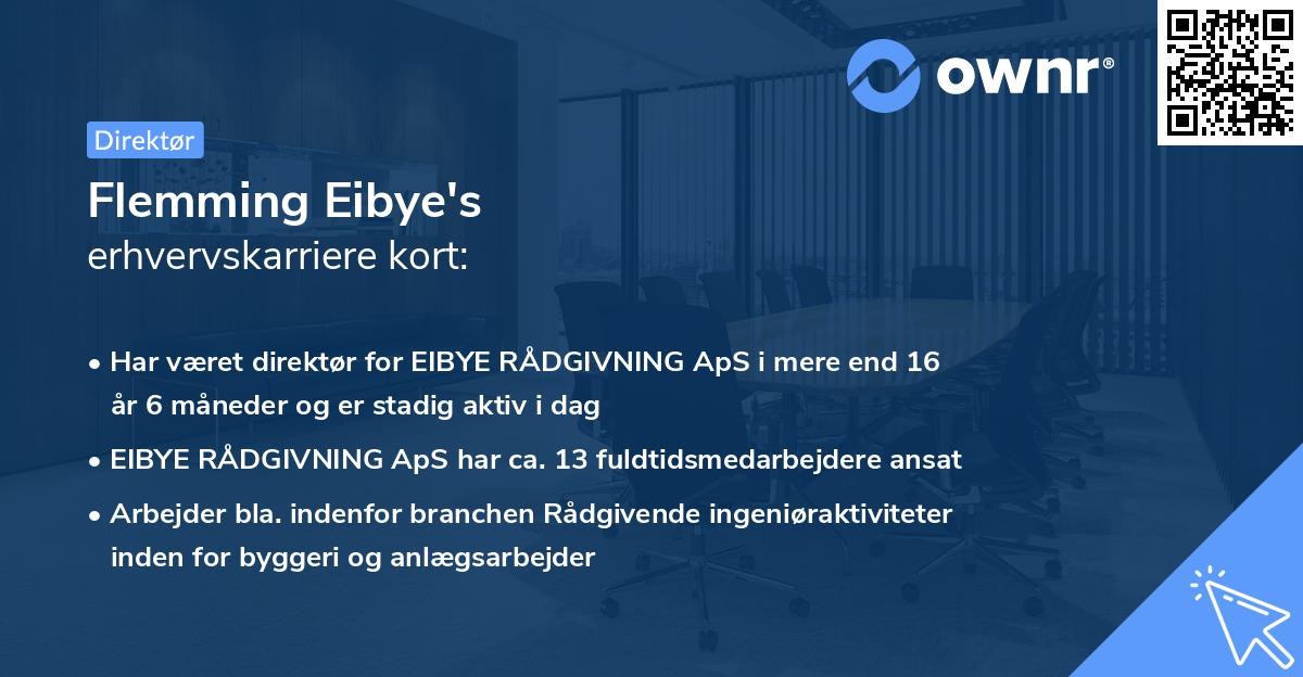 Flemming Eibye's erhvervskarriere kort