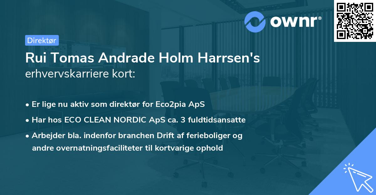 Rui Tomas Andrade Holm Harrsen's erhvervskarriere kort