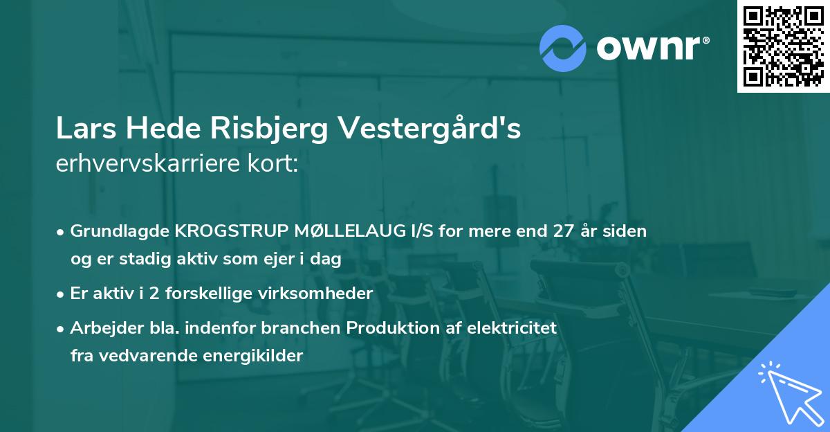 Lars Hede Risbjerg Vestergård's erhvervskarriere kort