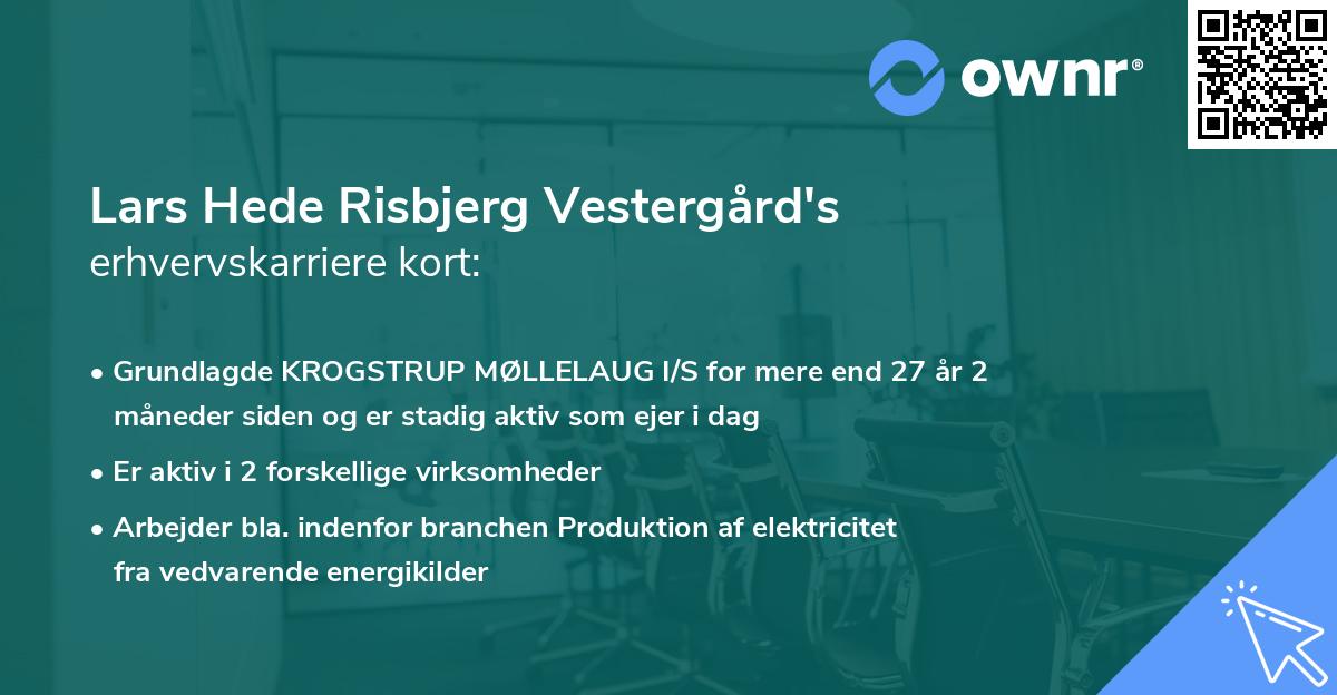 Lars Hede Risbjerg Vestergård's erhvervskarriere kort