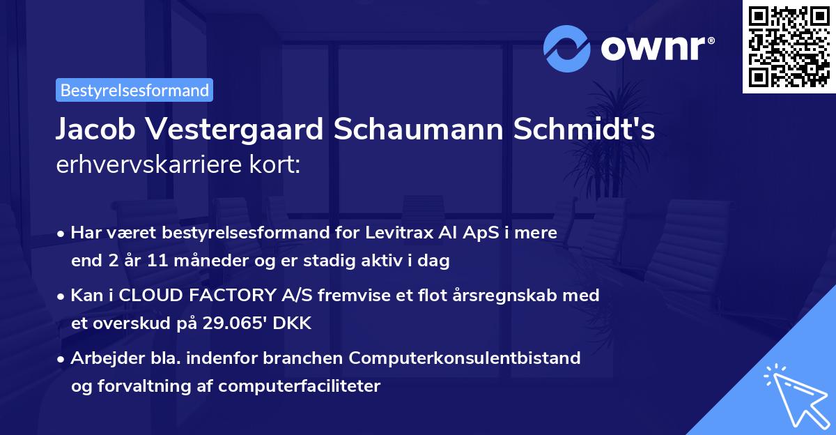 Jacob Vestergaard Schaumann Schmidt's erhvervskarriere kort