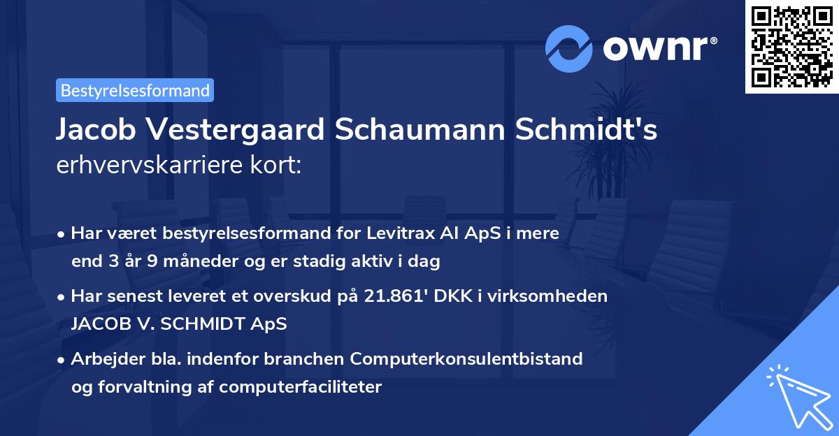 Jacob Vestergaard Schaumann Schmidt's erhvervskarriere kort