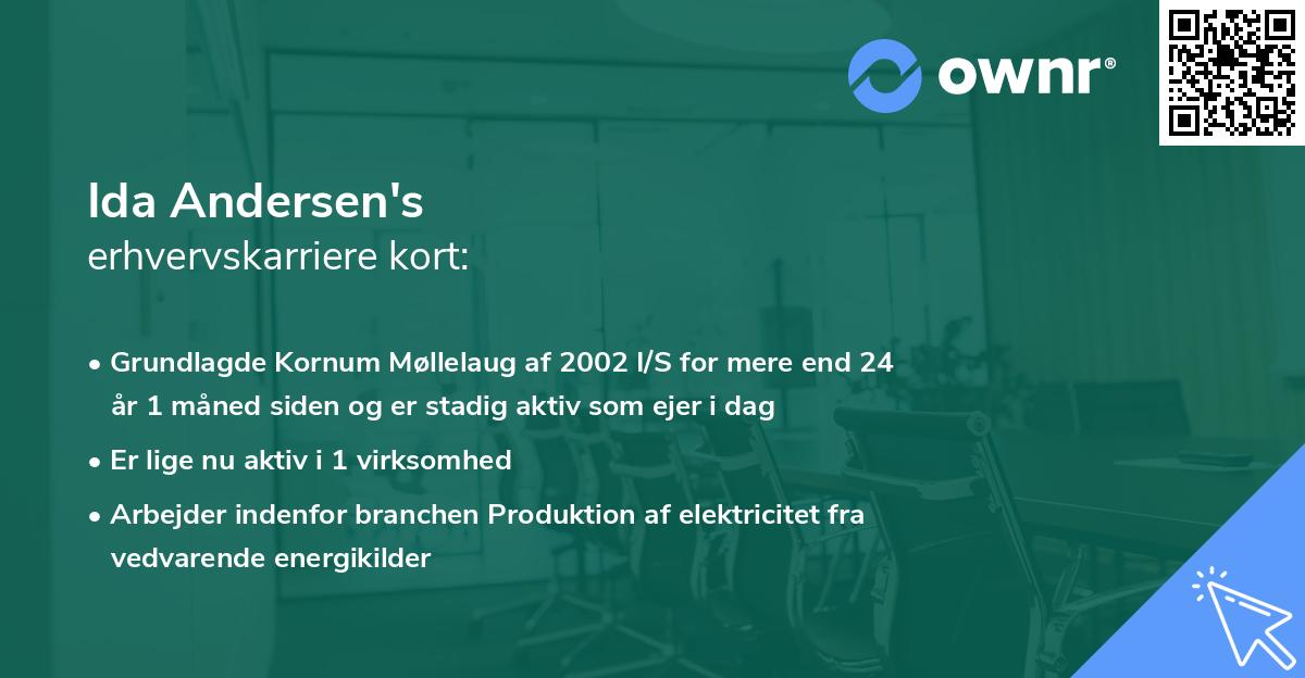 Ida Andersen's erhvervskarriere kort