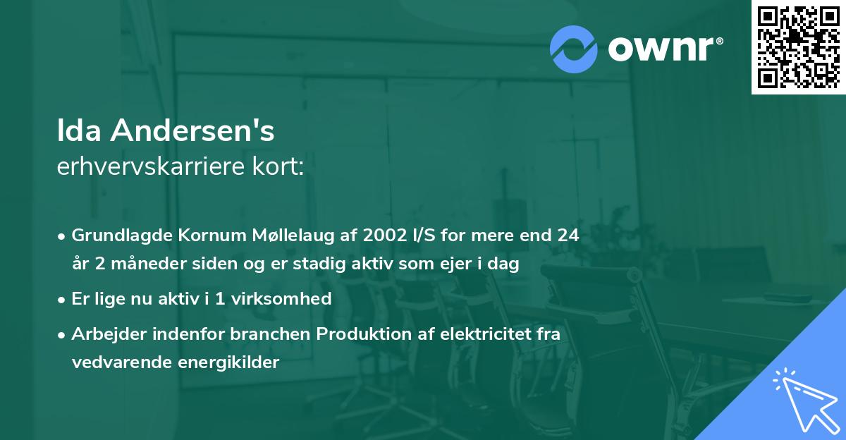 Ida Andersen's erhvervskarriere kort