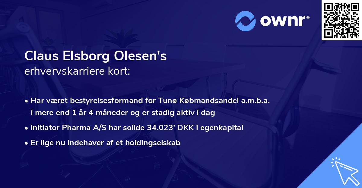 Claus Elsborg Olesen's erhvervskarriere kort