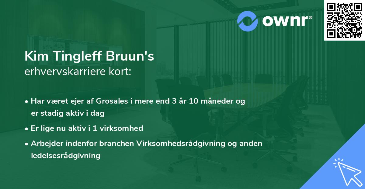 Kim Tingleff Bruun's erhvervskarriere kort